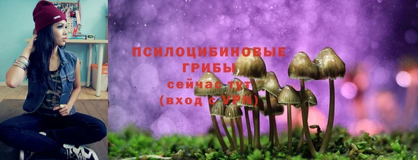 mdpv Балахна